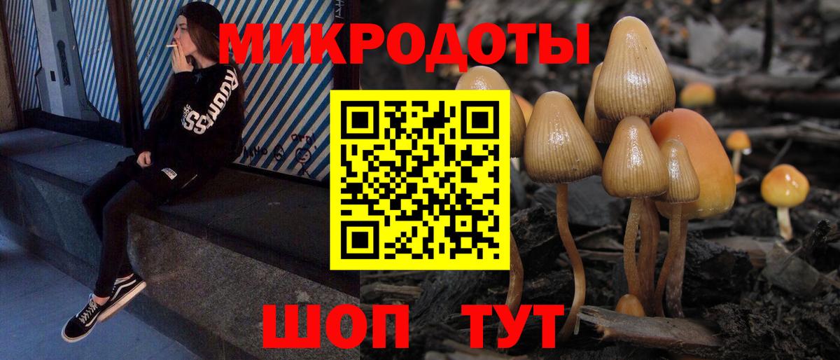 Псилоцибиновые грибы Magic Shrooms Серов